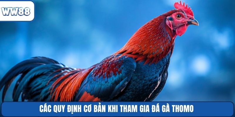 Các quy định cơ bản khi tham gia đá gà Thomo