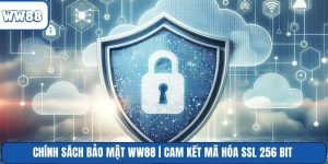 Chính Sách Bảo Mật WW88 | Cam Kết Mã Hóa SSL 256 Bit