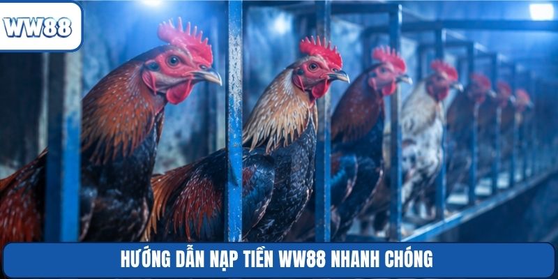 Hướng dẫn nạp tiền WW88 nhanh chóng
