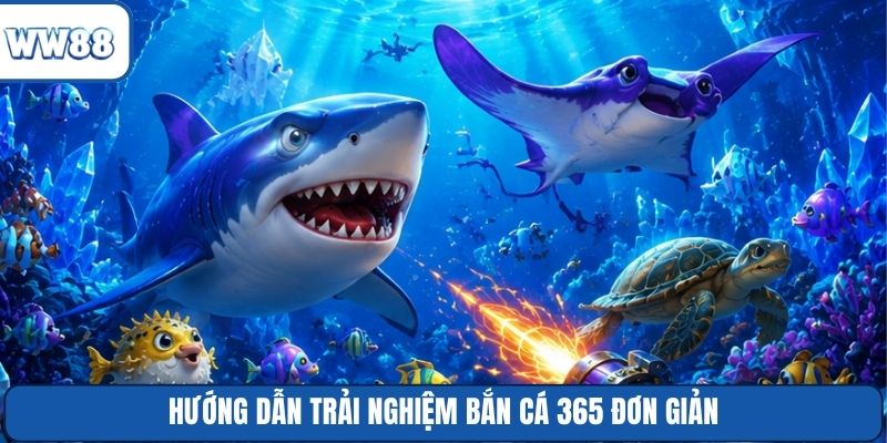 Hướng dẫn trải nghiệm bắn cá 365 đơn giản