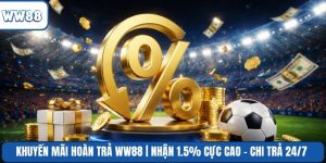 Khuyến Mãi Hoàn Trả WW88 | Nhận 1.5% Cực Cao - Chi Trả 24/7