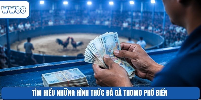 Tìm hiểu những hình thức đá gà Thomo phổ biến