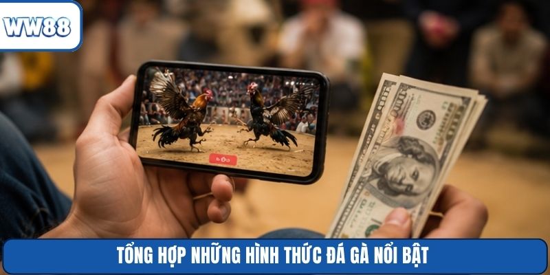 Tổng hợp những hình thức đá gà nổi bật